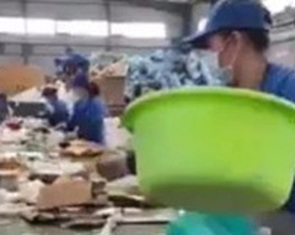 Thực hư video quay cảnh sản xuất thức ăn cho chó từ bìa carton?