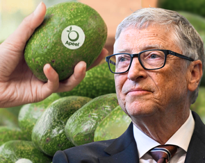 Có thật lớp phủ thực phẩm do tỉ phú Bill Gates hậu thuẫn tài trợ gây hại sức khỏe?
