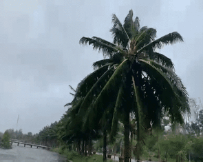 Bão Kajiki quần thảo Hà Tĩnh; gió lật tung mái Trường Huỳnh Thúc Kháng, Nghệ An