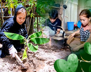 Tuổi Trẻ tạm ứng ngay cho nữ sinh Vân Kiều mồ côi cha mẹ, đậu cao đẳng nhưng chưa tìm ra học phí