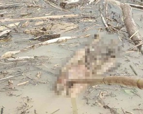 Liên tiếp phát hiện thi thể ở hồ thủy điện sau bão Kajiki, nghi từ Lào trôi qua