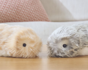 Robot thú cưng AI biết vui, buồn, 'nịnh' chủ gây sốt tại Nhật Bản