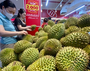 Sầu riêng xuất khẩu sang Trung Quốc bị trả về sẽ phải kiểm tra chất vàng O