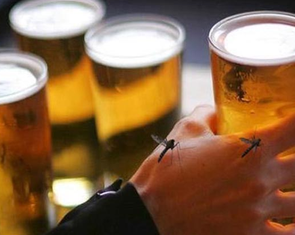Nghiên cứu gây sốc: Muỗi khoái người uống bia và mới 'yêu'