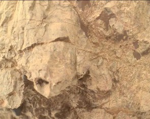 NASA phát hiện 'rùa' trên sao Hỏa