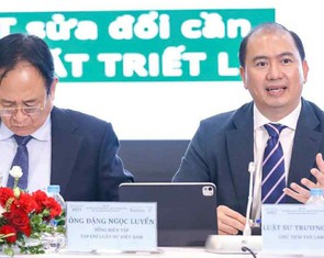 'Vi phạm thương hiệu mang lại lợi nhuận cả chục tỉ nhưng xử phạt chỉ vài chục triệu'
