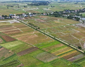 Đất nông nghiệp hết thời hạn sử dụng có cho, tặng được không?