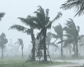 Áp thấp nhiệt đới sắp hình thành, các tỉnh Quảng Ninh đến Lâm Đồng báo tin ngay cho tàu thuyền