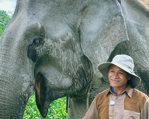 Dân mạng xúc động khi Jun Phạm kể chuyện ông Yo Thị và cô voi Hờ Tâu mà ông thương như con gái