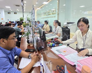 TP.HCM tiếp tục cử 206 viên chức giúp 168 xã, phường cấp sổ hồng
