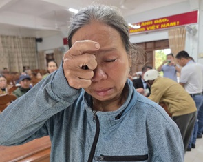 Hành trình từ Bắc vào Trung tiếp sức người dân trồng lại luống rau, mua lại con giống