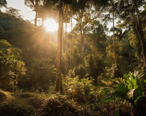 10 năm từ cọng rơm tới những khu vườn rừng:  Ngộ nhận, vỡ lẽ và chuyển hóa