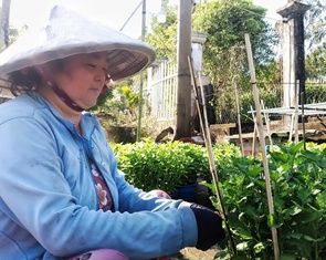 Ôm ấp vườn xuân