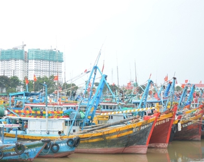 7 tỉnh, thành phía Nam phối hợp chặn khai thác IUU, ngăn tàu cá vượt biển trái phép