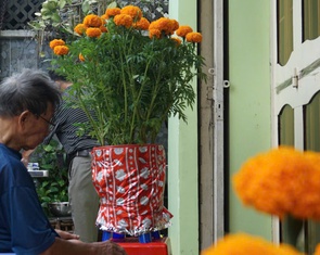 Ba sẽ về theo làn gió xuân