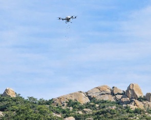 Gieo mầm xanh giữa rừng sa mạc bằng máy bay không người lái