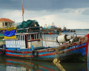 Đồng Tháp hỗ trợ ngư dân chuyển đổi nghề với mức cao nhất 350 triệu đồng mỗi tàu cá