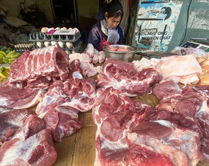 Dự báo giá heo hơi dịp Tết khoảng 70.000-75.000 đồng/kg, cao hơn nhiều nước trong khu vực