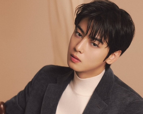 'Thiên tài gương mặt' Cha Eun Woo thành 'thiên tài trốn thuế'