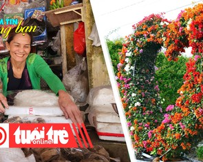 Điểm tin 8h: Xuân về ngôi chợ hồi sinh sau lũ; Nhộn nhịp săn hoa mùa Tết