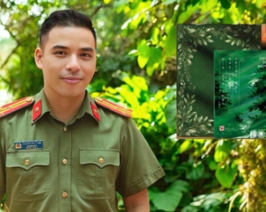 Gió vẫn thổi qua rừng nhiệt đới