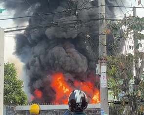 Cháy lớn nhà xưởng chứa pallet nhựa ở xã Đông Thạnh