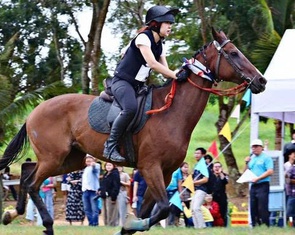 Tin tức sáng 7-1: Đề xuất quy định mới về kinh doanh đặt cược đua ngựa, đua chó, bóng đá quốc tế