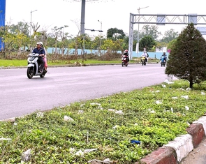 Cửa ngõ Cần Thơ đầy cỏ dại, rác thải: Thành phố lên kế hoạch 'đại chỉnh trang'