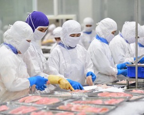 Ngành thủy sản tính năm nay khai thác và nuôi trồng trên 10 triệu tấn, xuất khẩu 11,5 tỉ USD