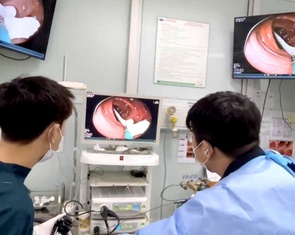 Sụt 2kg trong 2 tuần, phát hiện sán dây lợn dài gần 1m trong ruột