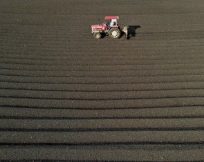 Đẹp hút mắt, mùa phơi cà phê 'phủ nâu' Tây Nguyên đại ngàn