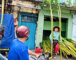 Mía vàng 120.000 đồng/cặp vẫn 'cháy hàng' trước ngày vía Ngọc Hoàng