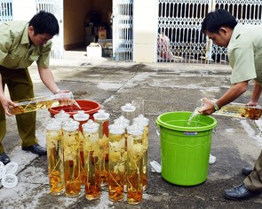 Tết đến, cảnh giác rượu bổ nhà ngâm