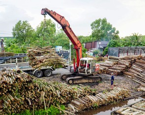 Khi miền Tây có thêm nhiều cảng biển