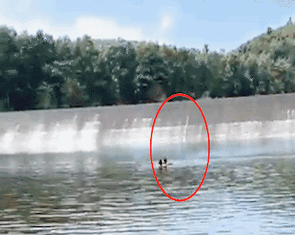 Người đàn ông cứu em nhỏ thoát đuối nước khi cùng bạn đang livestream trong rừng