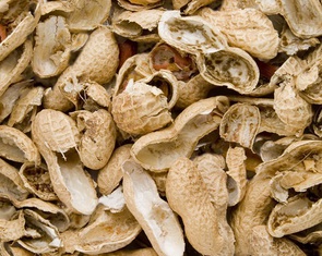 Biến vỏ đậu phộng thành 'vật liệu kỳ diệu' siêu nhẹ, siêu bền