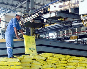 Chủ động nguồn cung để hạn chế tác động từ giá phân bón tăng