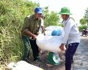 Cần giải pháp giảm 'giải cứu' nông sản
