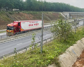 Hàng rào thép gai cao tốc Bắc - Nam bị trâu bò giẫm nát