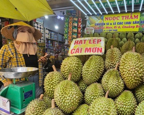 Giá sầu riêng neo cao, bất ngờ với hàng 'VIP' Musang King