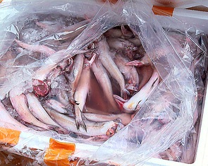 Bộ Nông nghiệp và Môi trường trả lời cử tri TP.HCM về giải pháp ngăn thực phẩm bẩn, dùng chất cấm