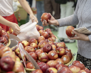 Hội đồng táo Washington: Việt Nam là thị trường xuất khẩu lớn thứ 5 của bang