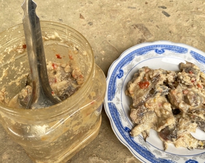 Gia đình ăn cá ủ chua, 3 trẻ nghi ngộ độc botulinum