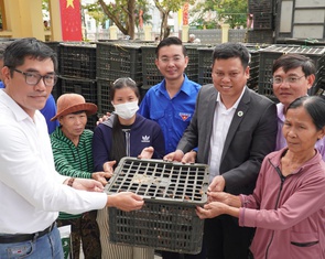 Bà con Đà Nẵng vỡ òa khi được trao hơn 8.000 con gà giống khôi phục sinh kế