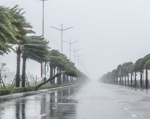 Năm 2026 đối mặt nguy cơ nhiều siêu bão, mưa cực đoan và nắng nóng kéo dài