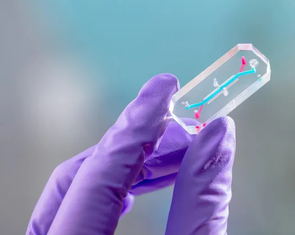 NASA gửi 'chip nội tạng' phi hành gia Artemis II lên vũ trụ để làm gì?