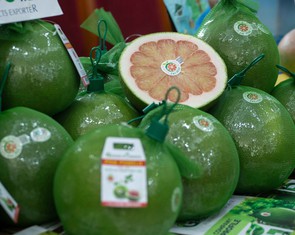 Việt Nam chuẩn bị xuất khẩu lô bưởi đầu tiên sang Úc