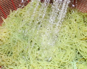 Xử phạt vi phạm môi trường: Đâu là ranh giới giữa răn đe và 'khai tử'?