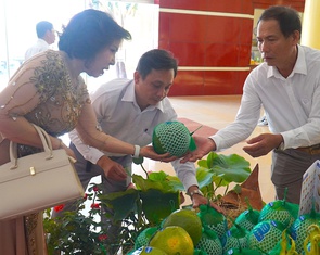 Đồng Tháp xuất khẩu lô bưởi đầu tiên sang Úc
