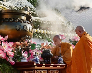 Đại lễ Phật đản: Không phóng sinh chim hoang dã, động vật quý hiếm